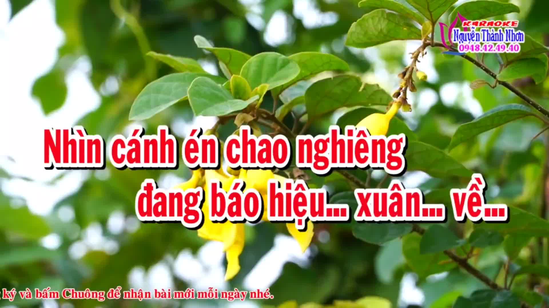 @M&ecirc; ca h&aacute;t