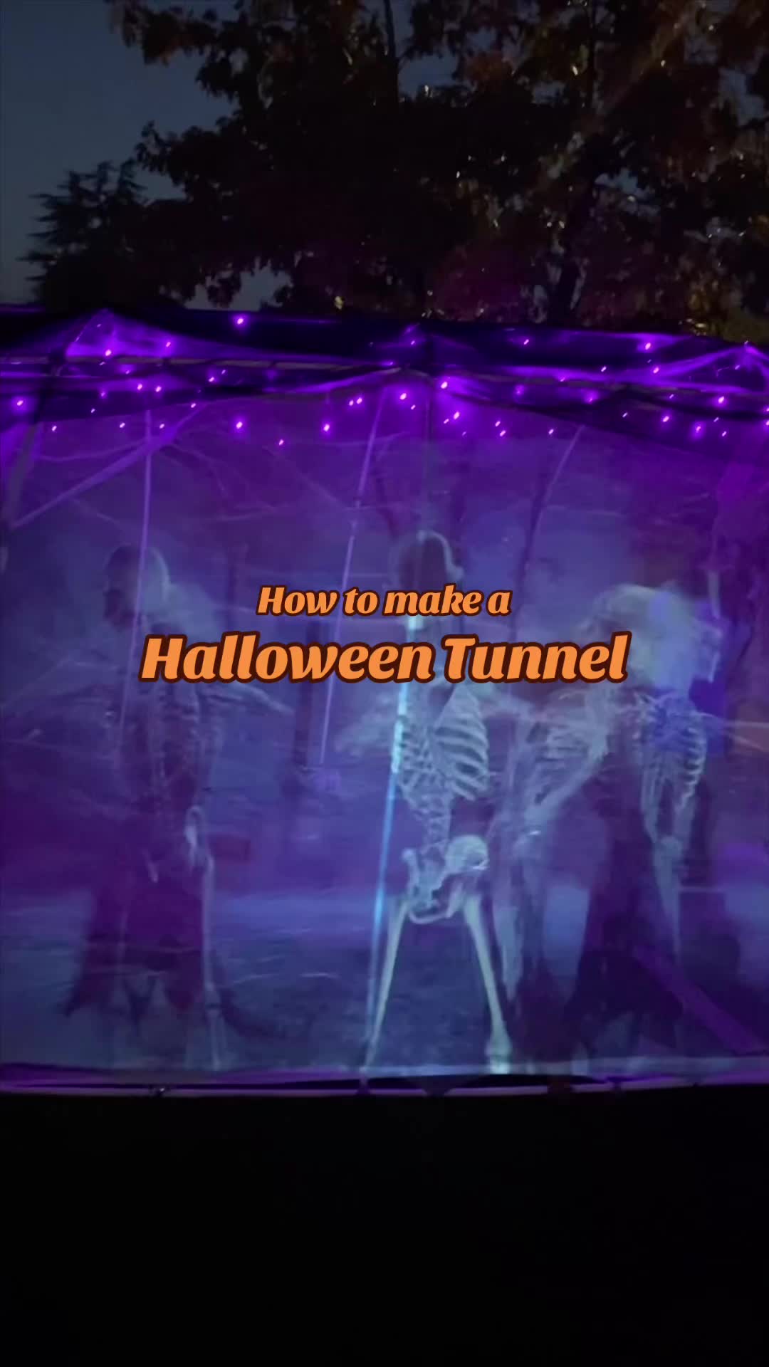 @michelle