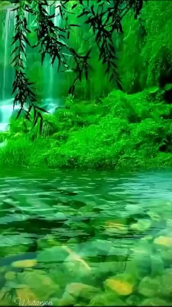 @hərbiçi_oğlanları