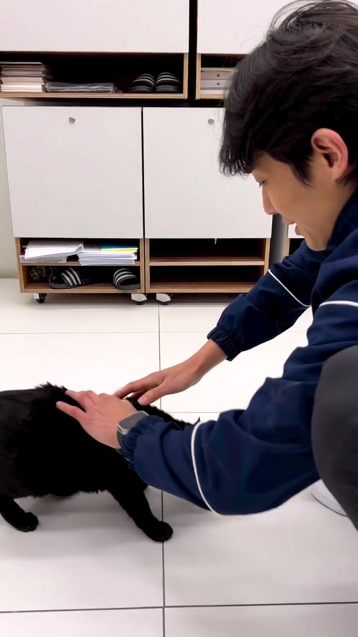 @민도혁🐈⬛