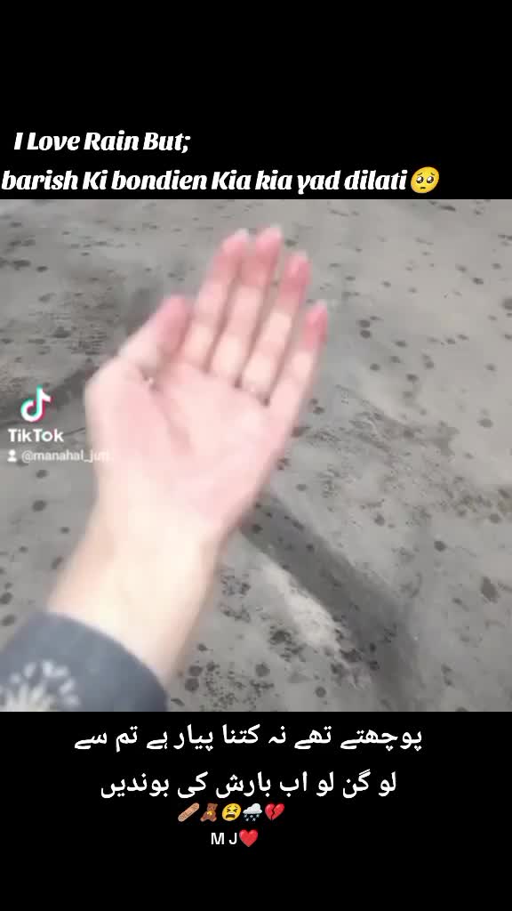@Mano 🐼