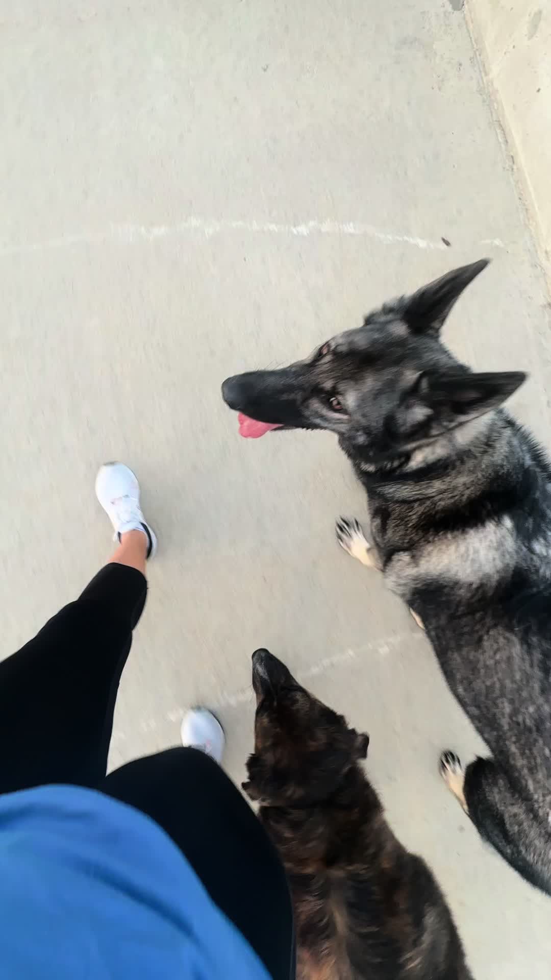 @Rykerandluna