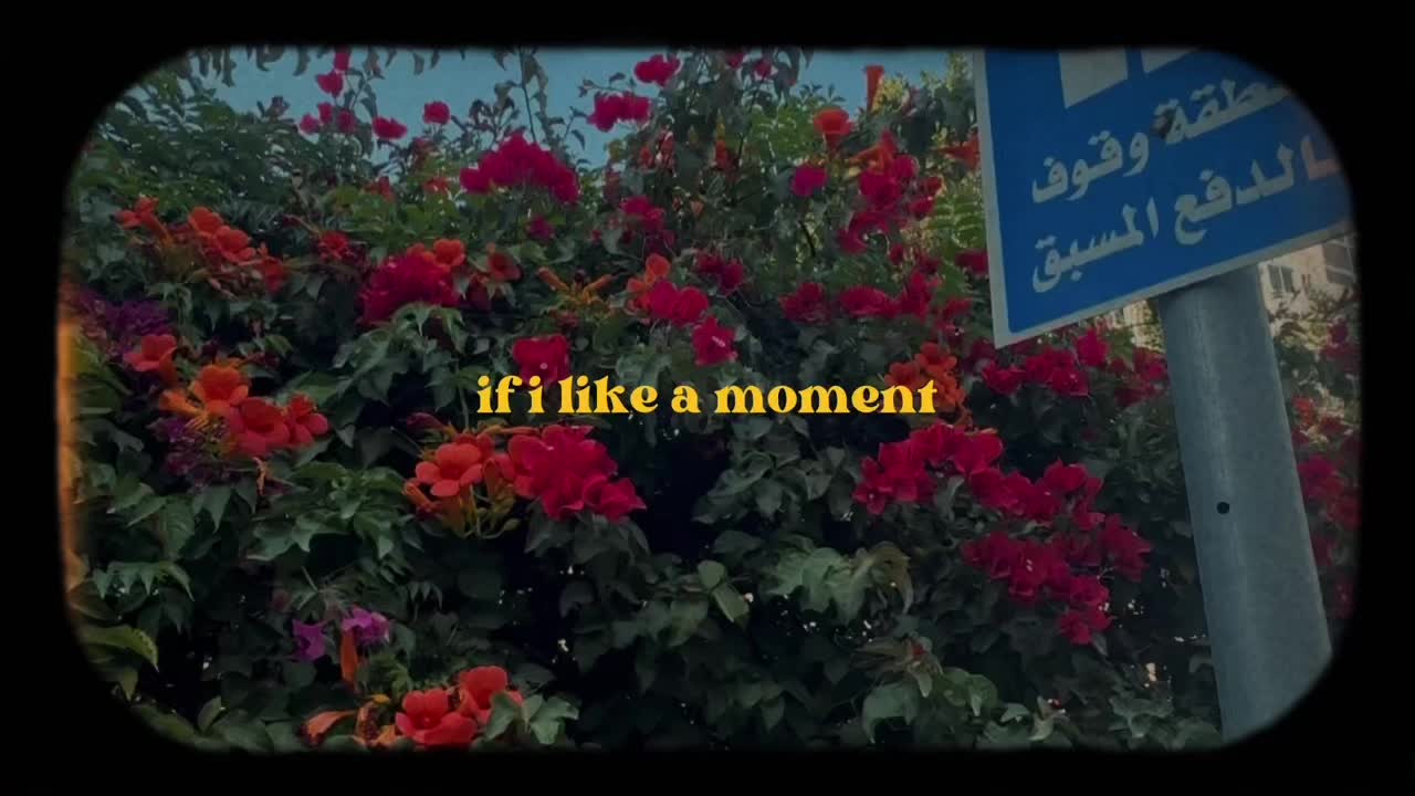 @Tala Zaghal