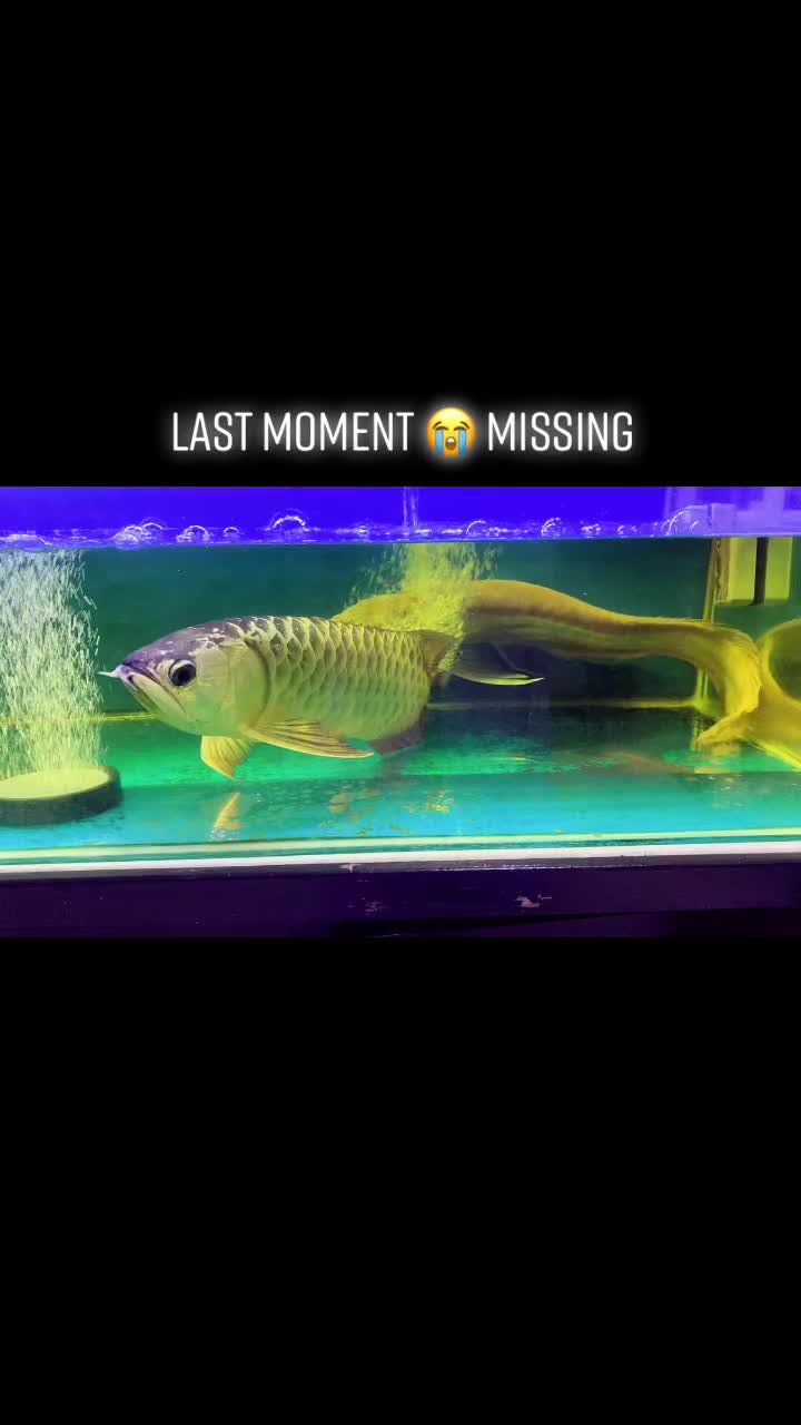 @Syakina’s Bakery