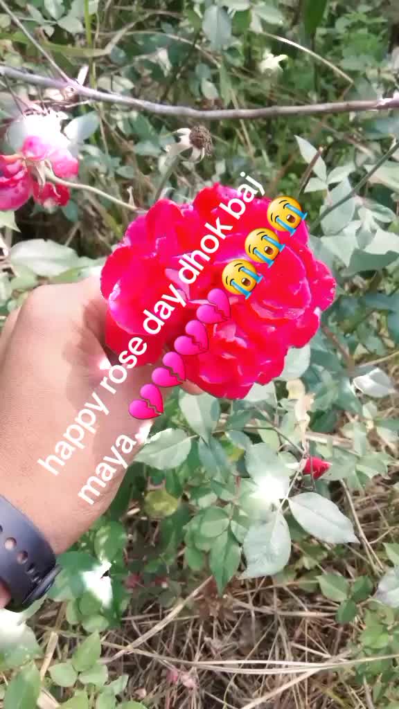 @💔tuteko mutu💔xuteko maya💔