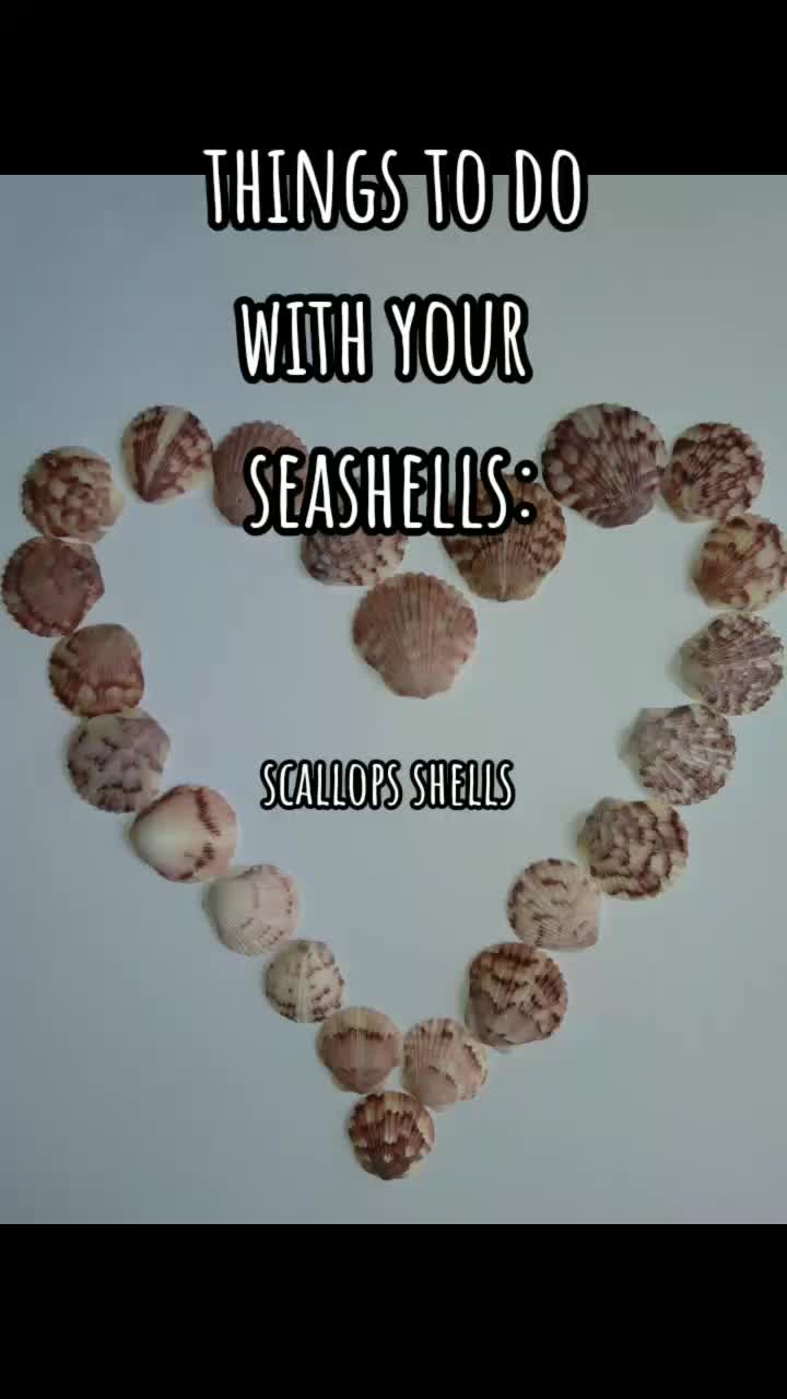 @Mermaid Flowers🧜&zwj;♀️🐚