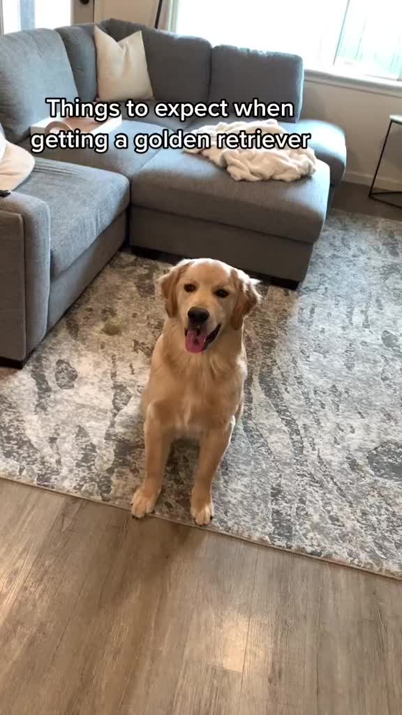 @George The Golden