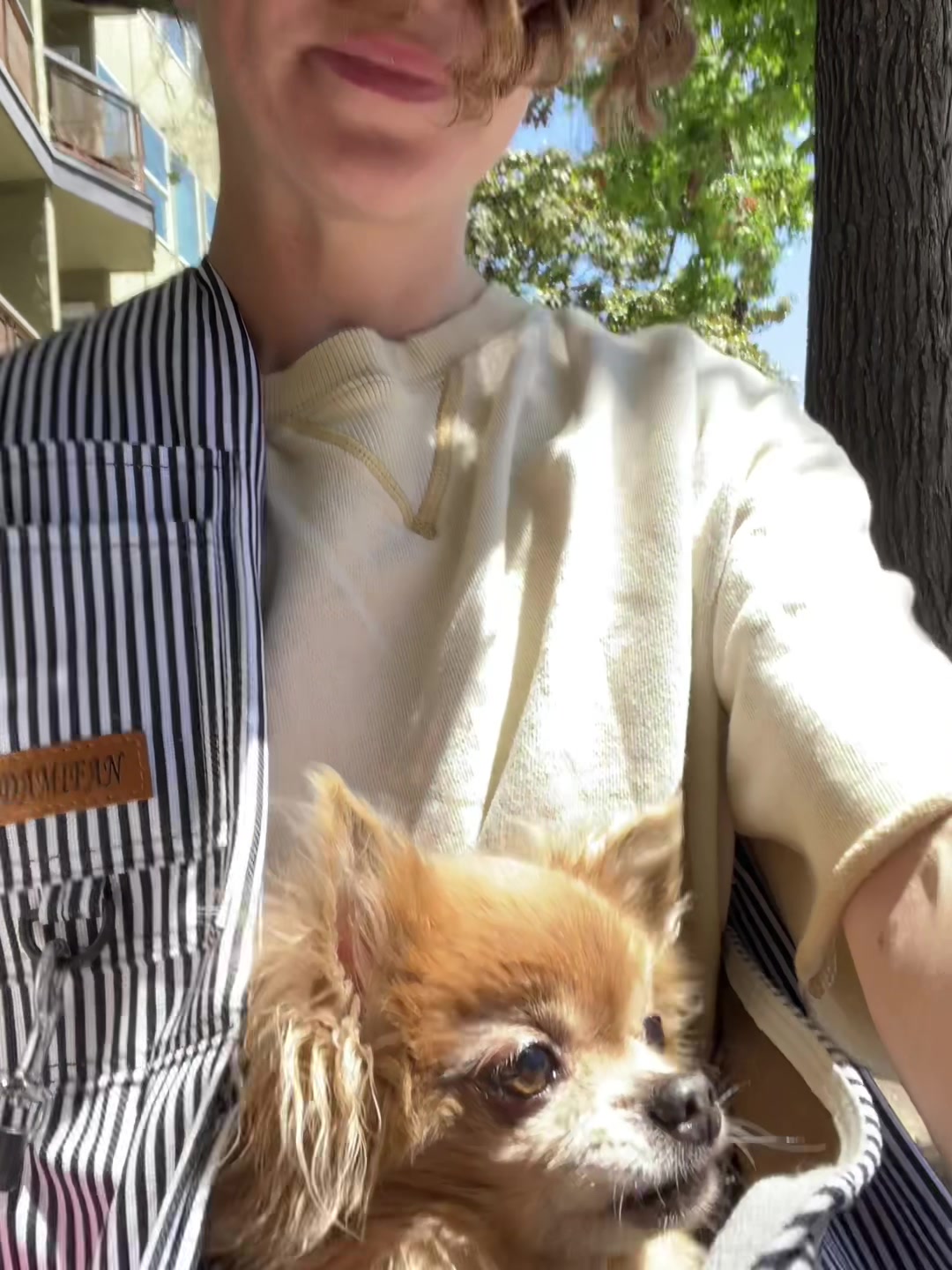 @JillianSprouse