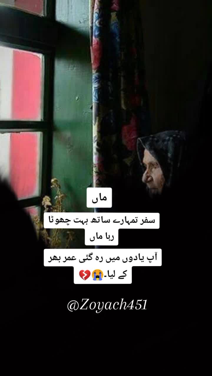 @ZOii..🦋