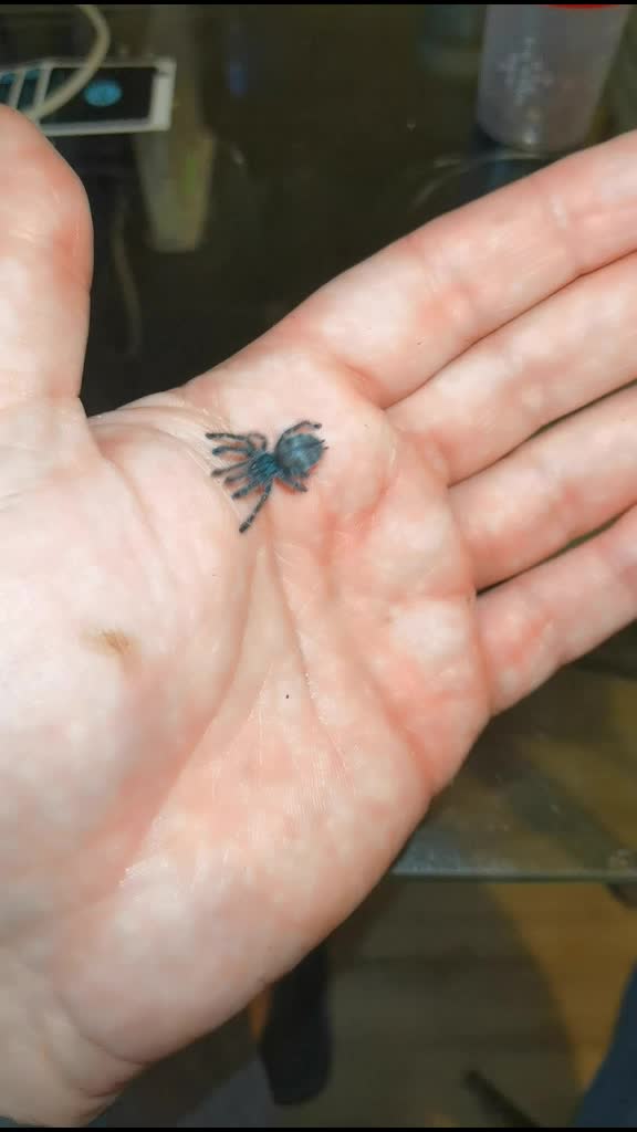 @angry_spider