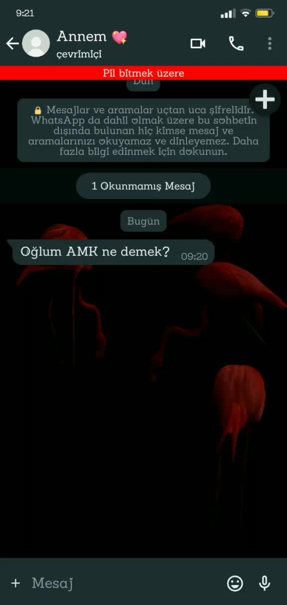 @Kemal 🤟🖤