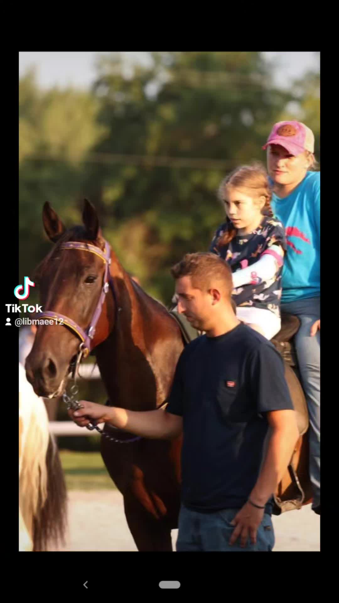 @Mane Stream Stables