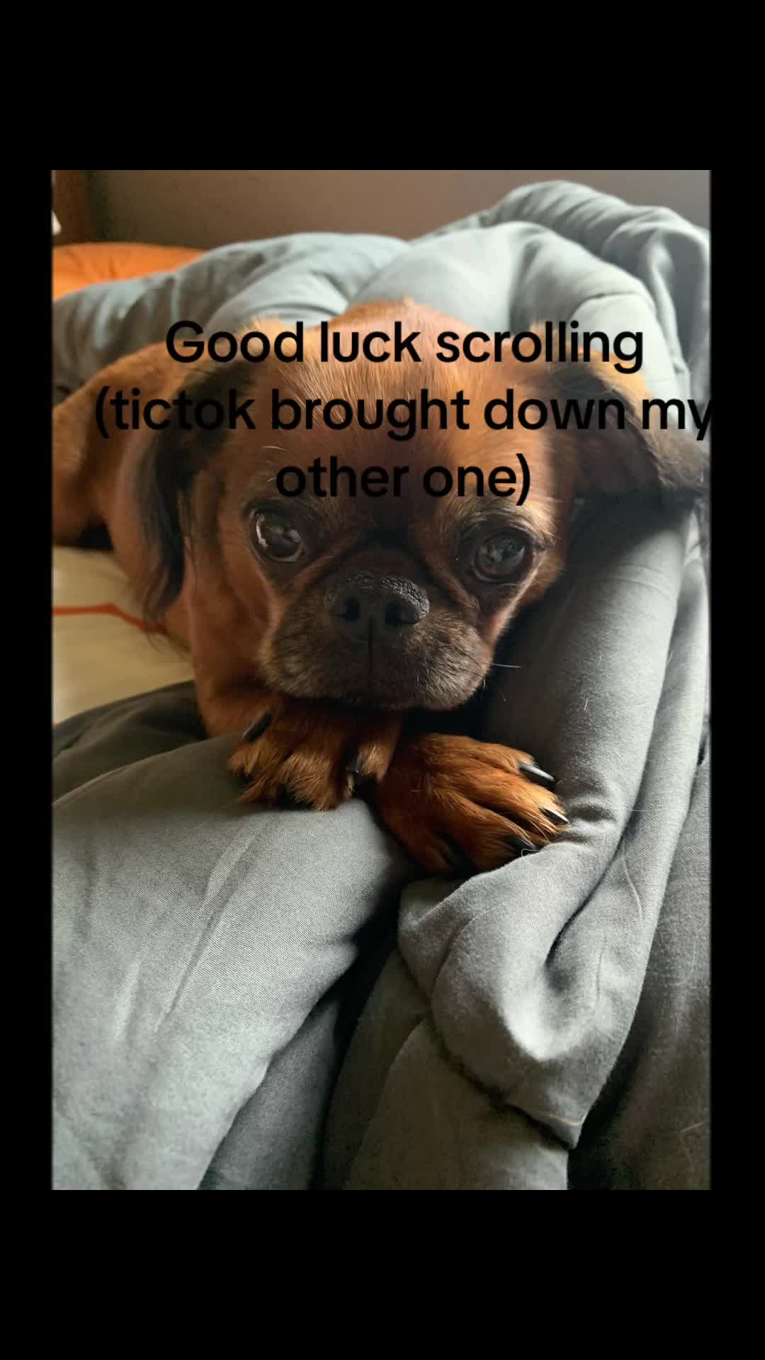 @chicken14