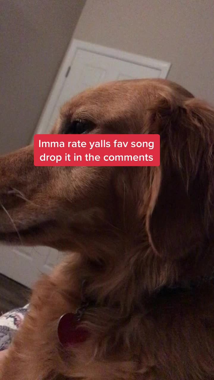 @qxry