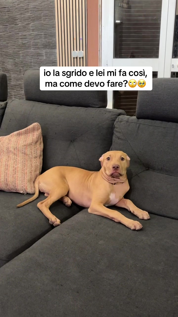 @ESTHER CAPPETTA