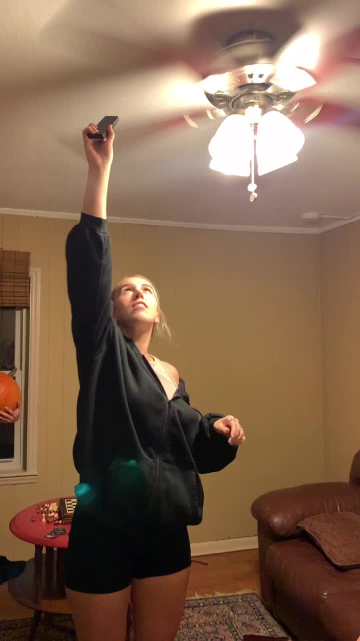 @lexitootle