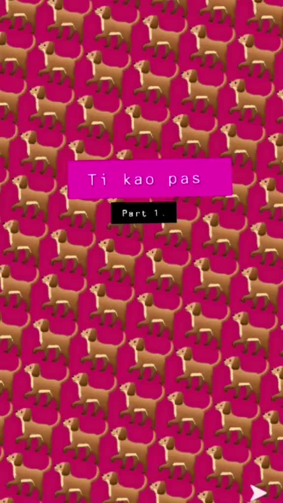 @love animals🥺❤