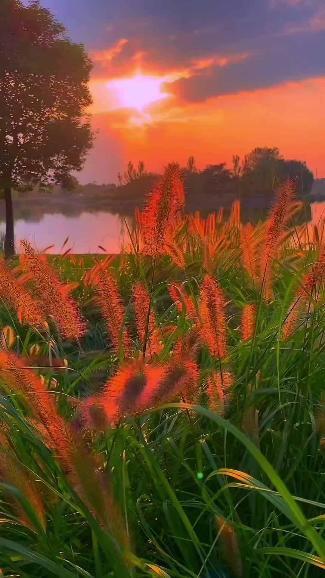 @Nature And Music