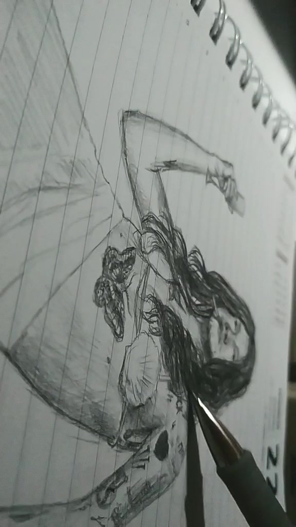 @hnzd