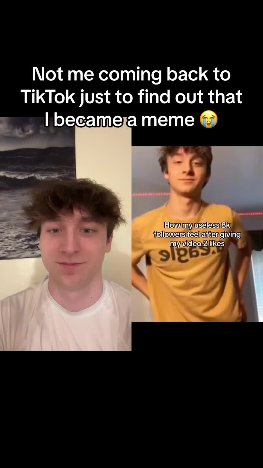 @brad