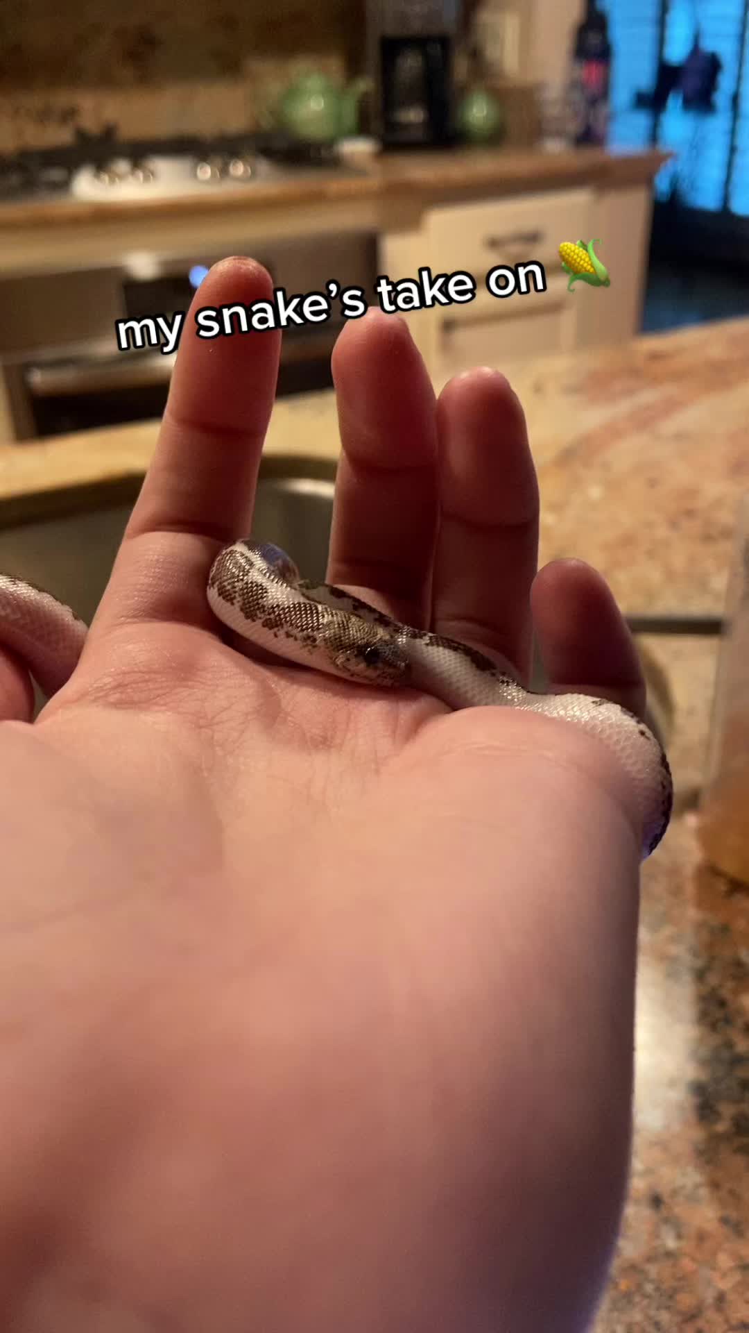 @Tortellini