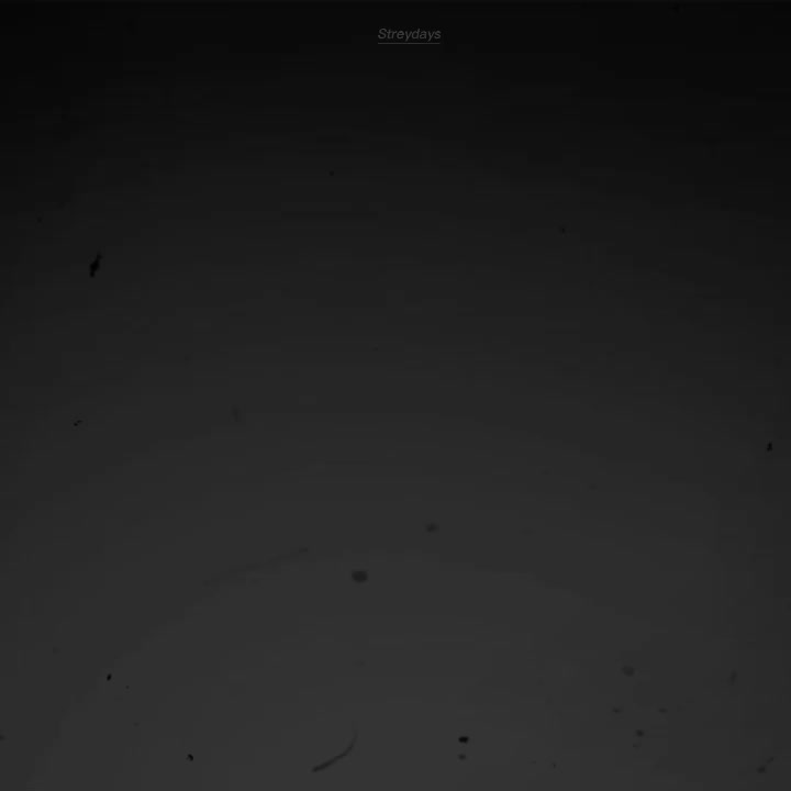 @𝐀-𝐓✘𝐖𝐍