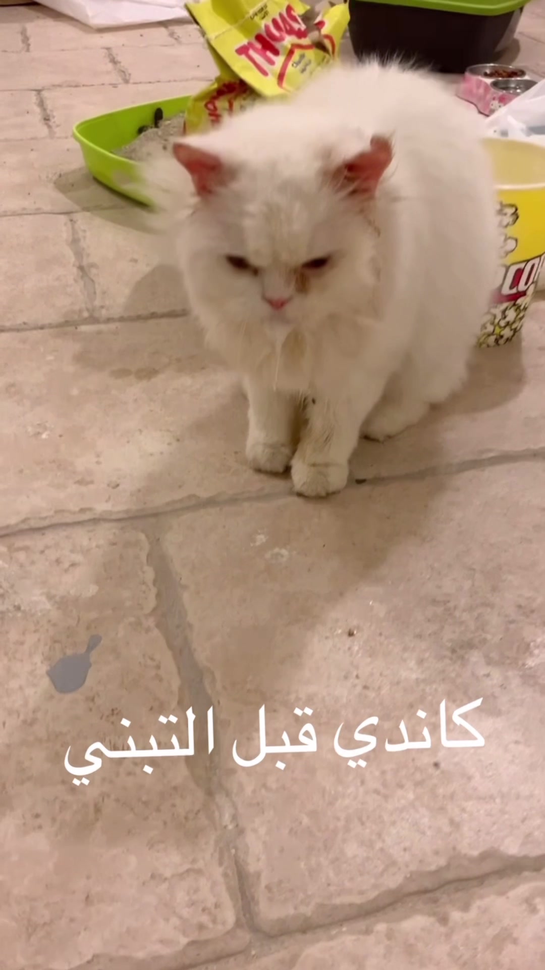 @user39556571203