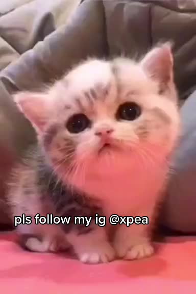 @josh | jws