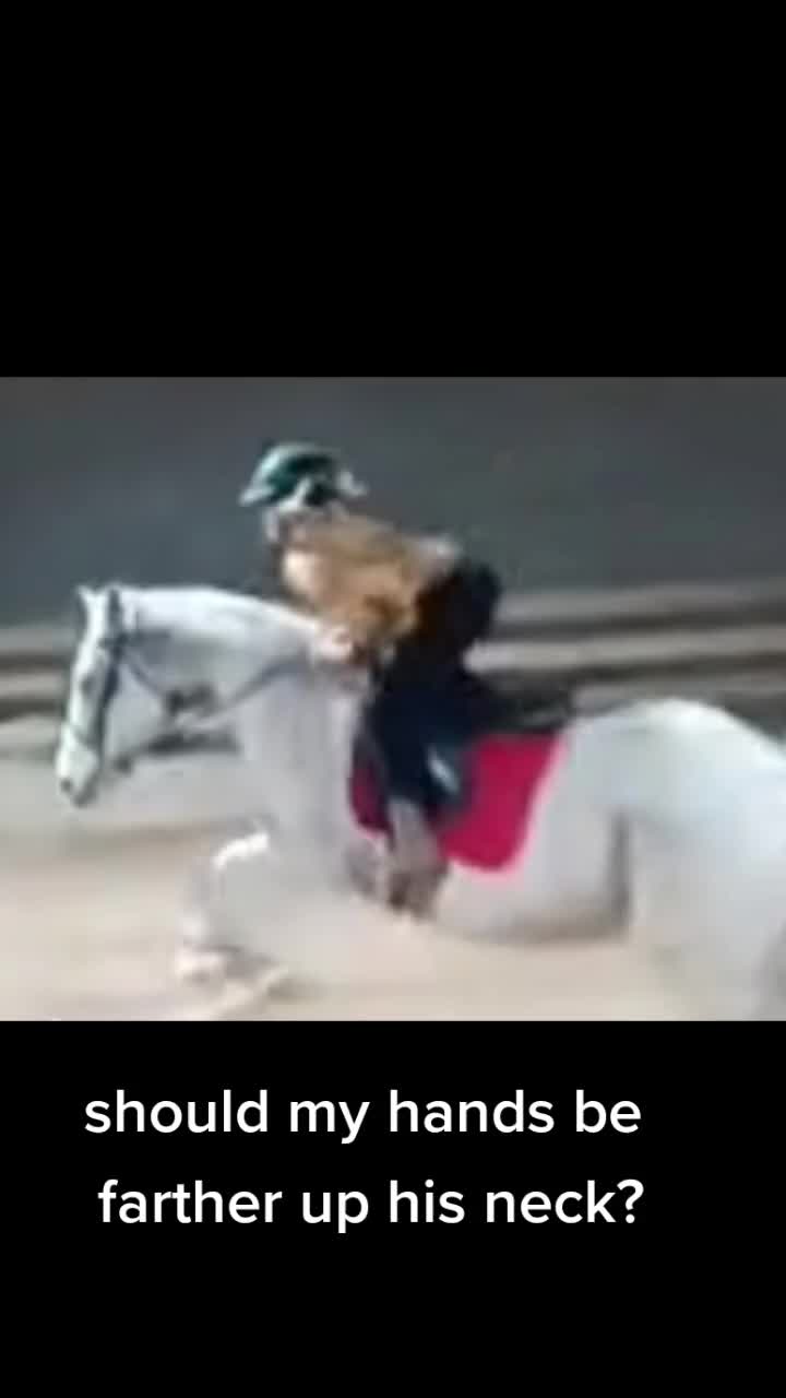 @horsie_rider
