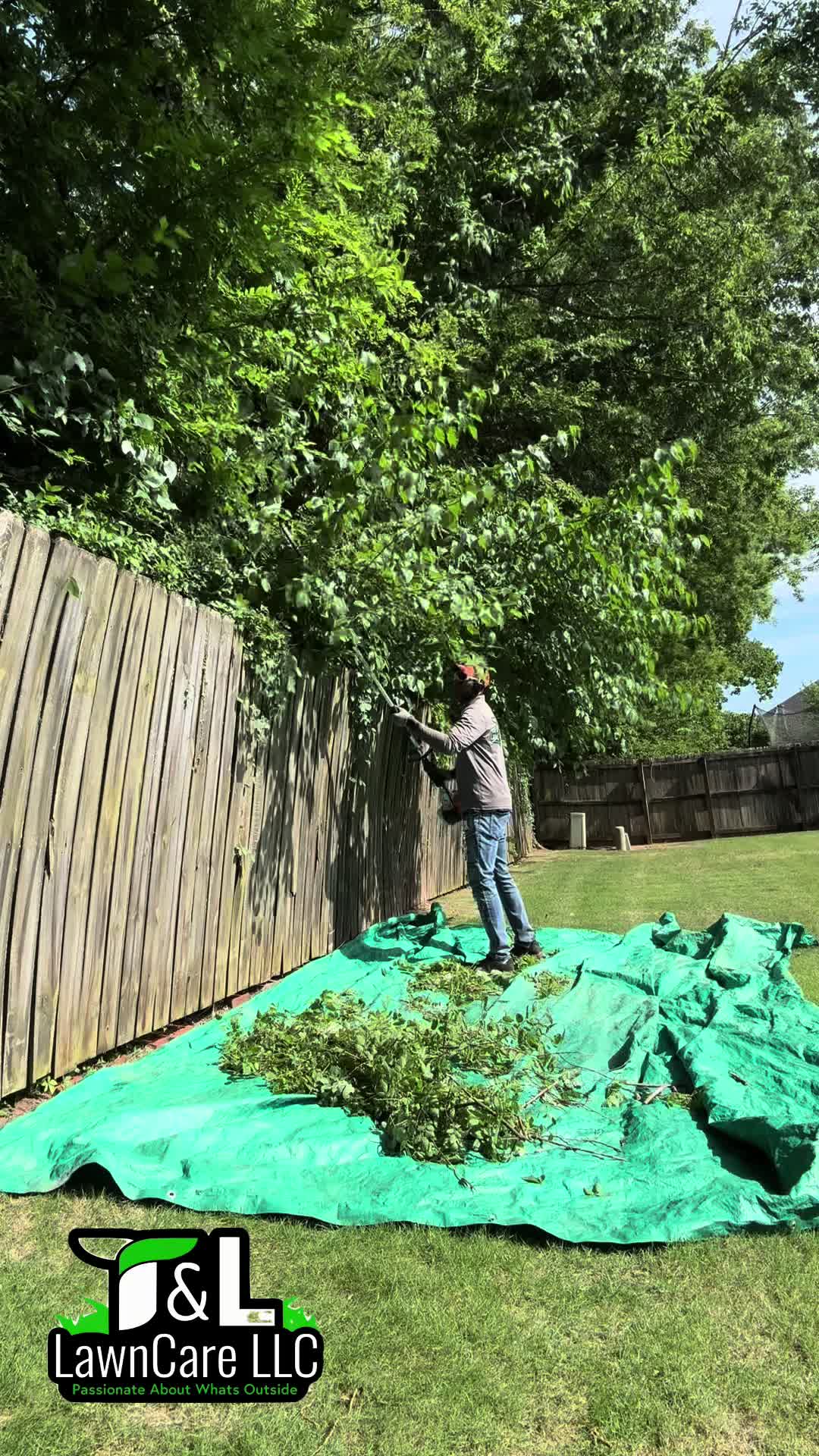 @TandLLawnCare