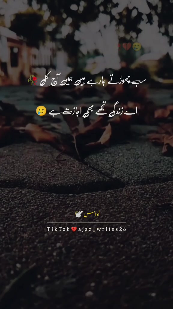 @Silᴇnt Scᴀʀs