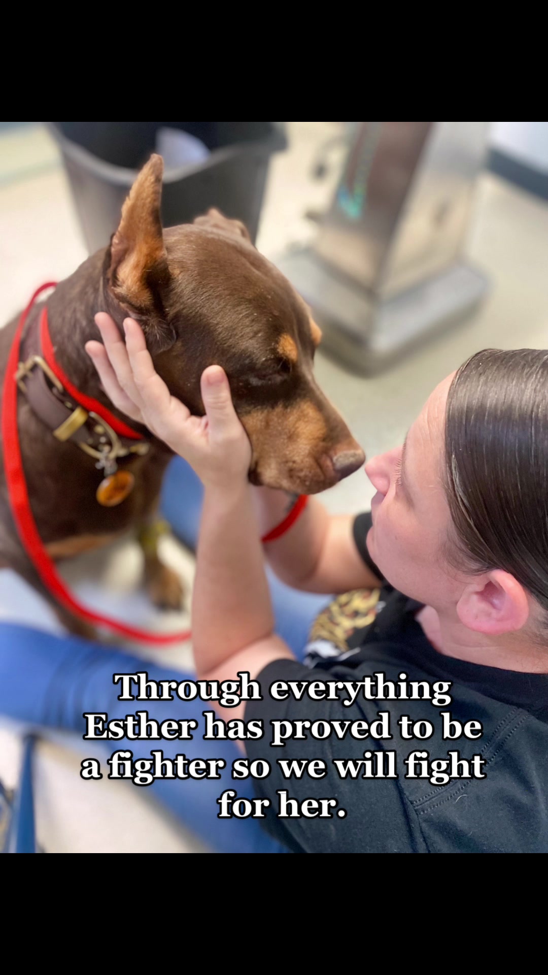@blessed_dobies