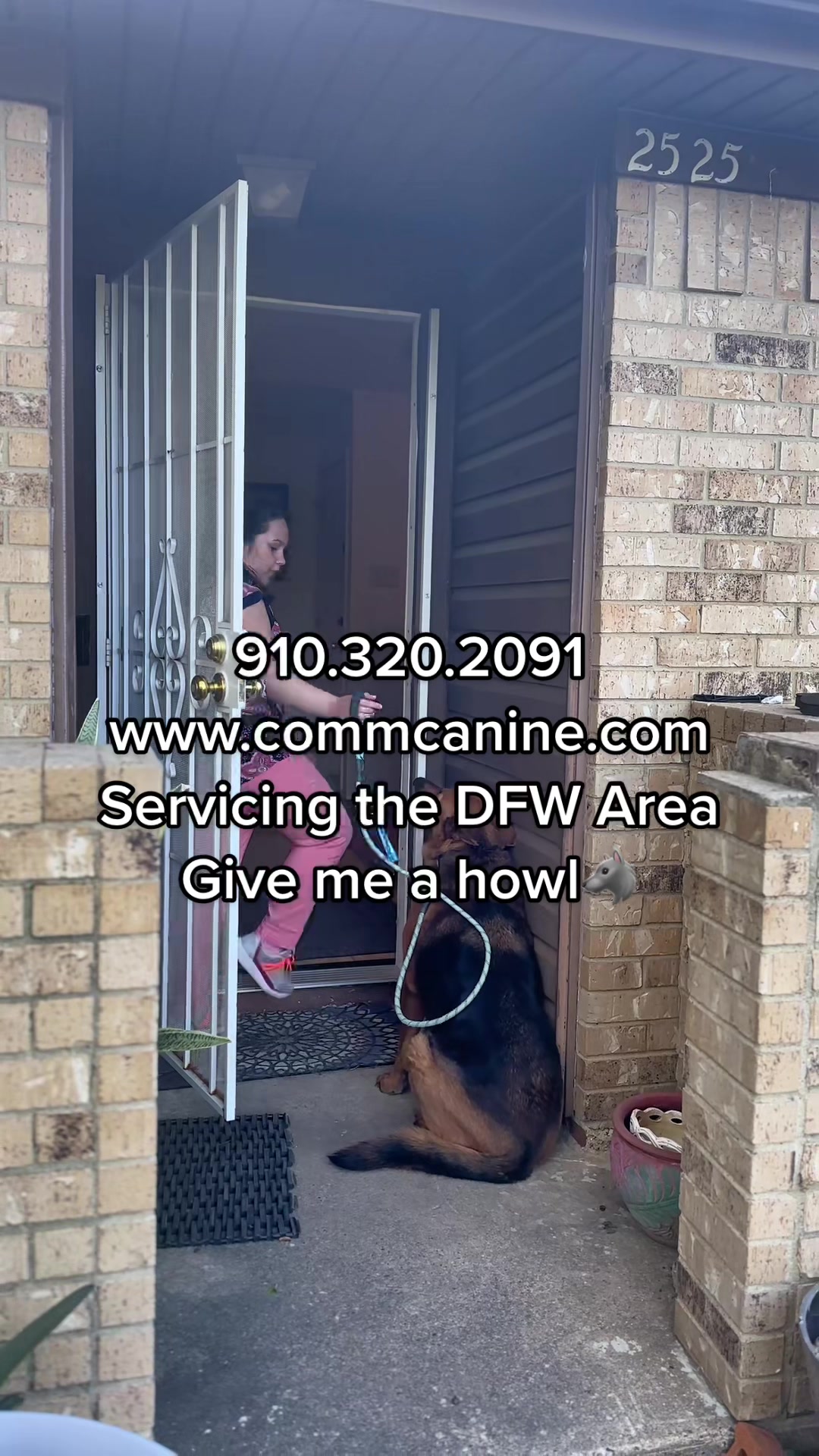 @CommCanine