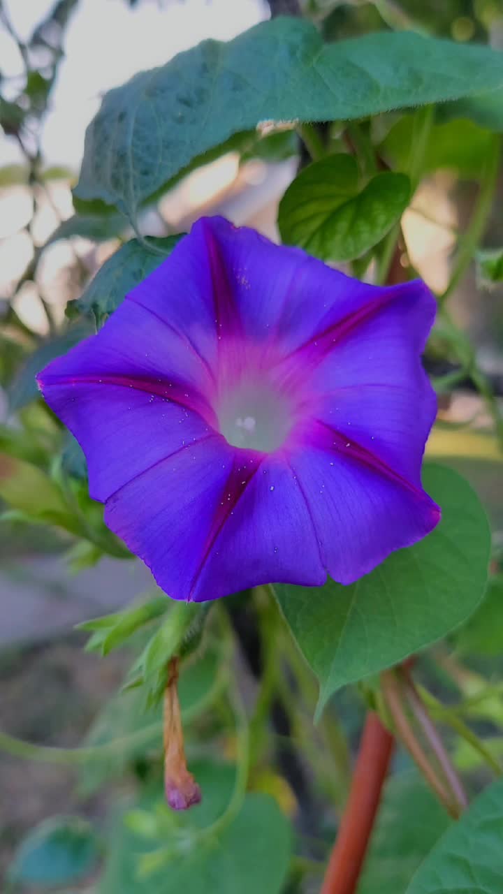 @SisTerCaT48
