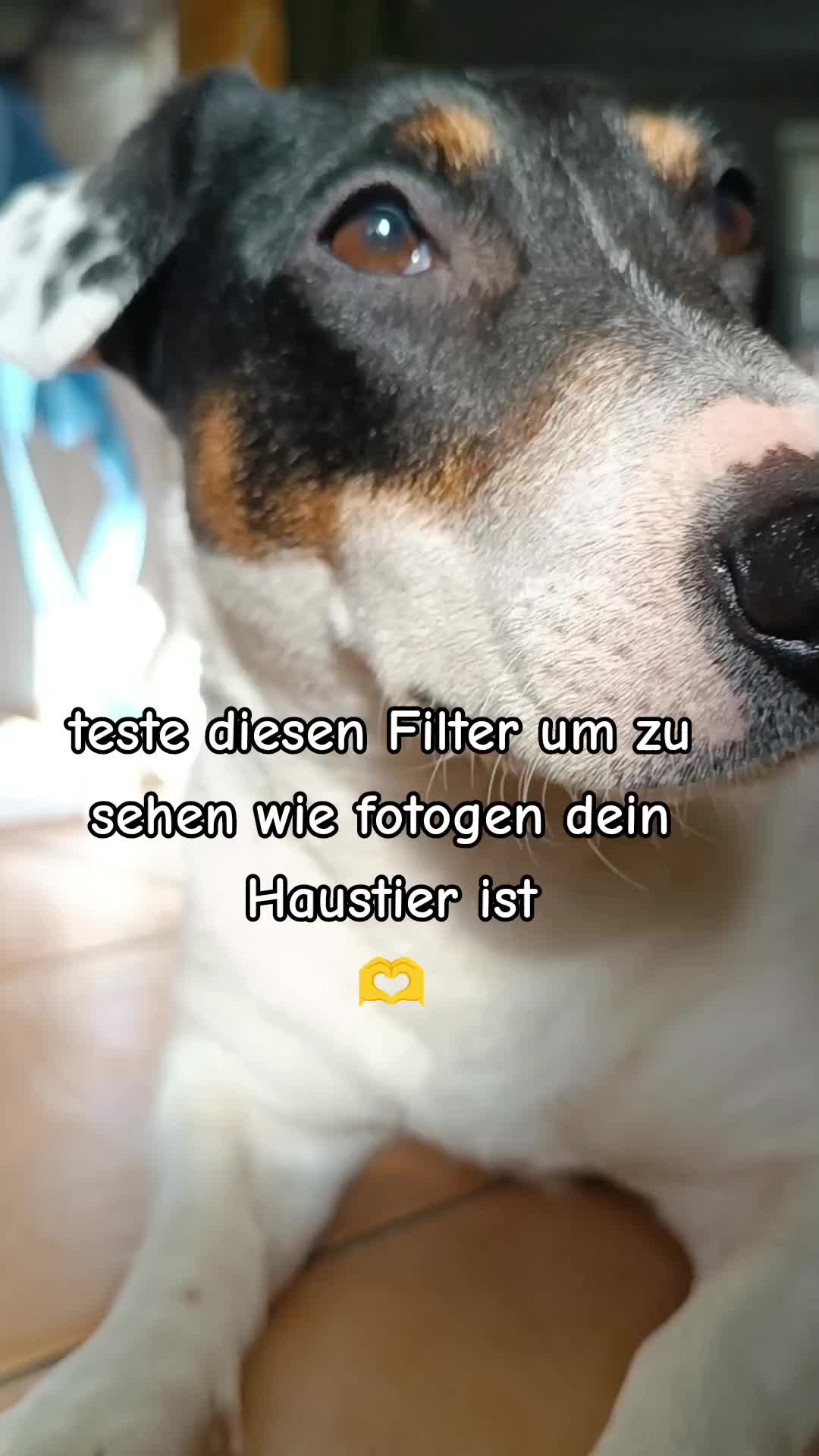 @jackbulli