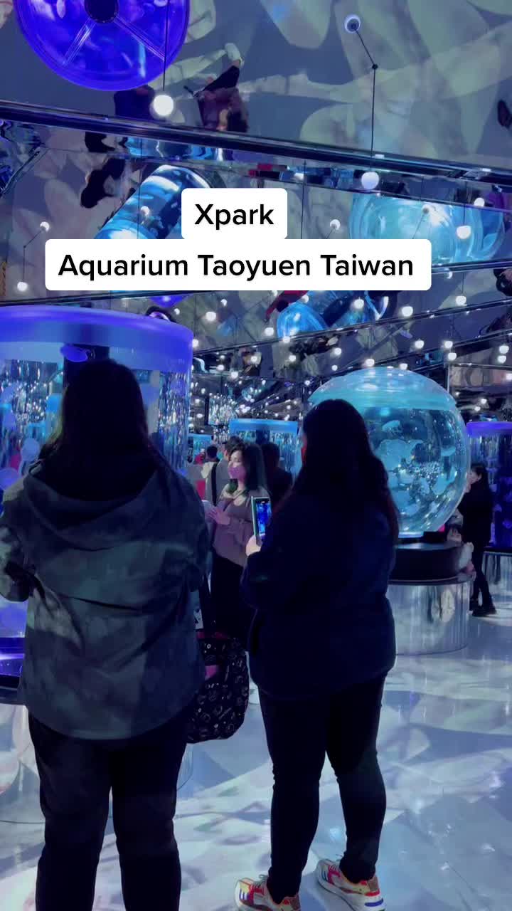 @amiyang.888