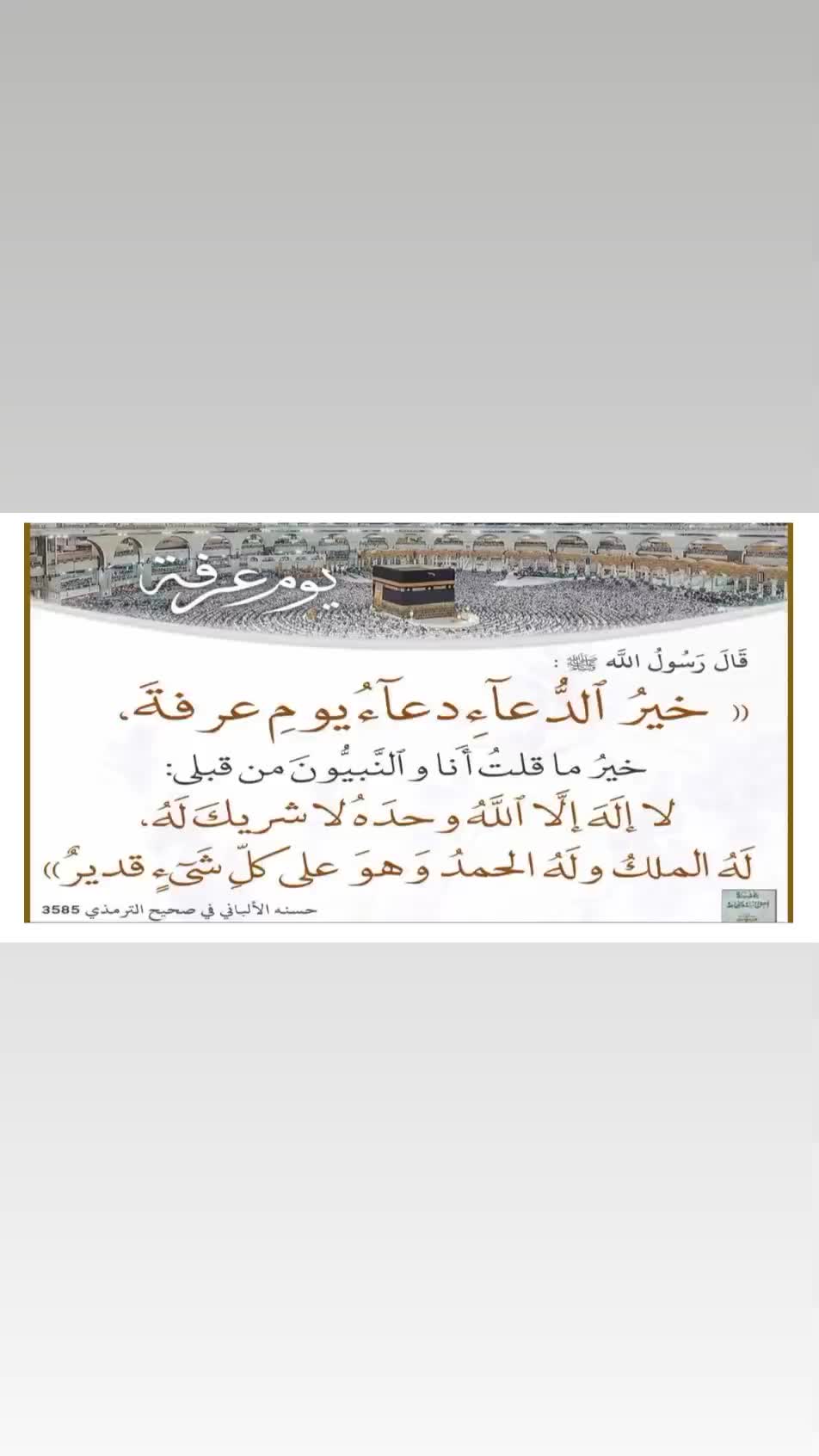 @Donia❤️