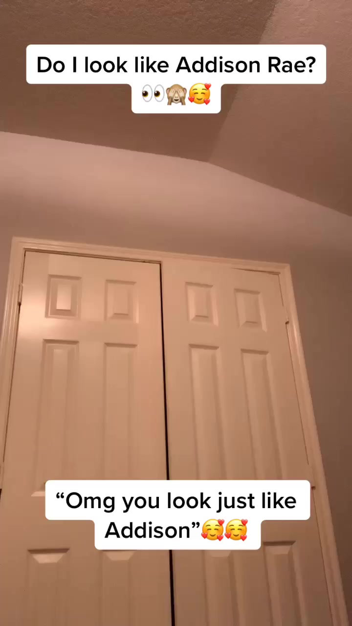 @tani