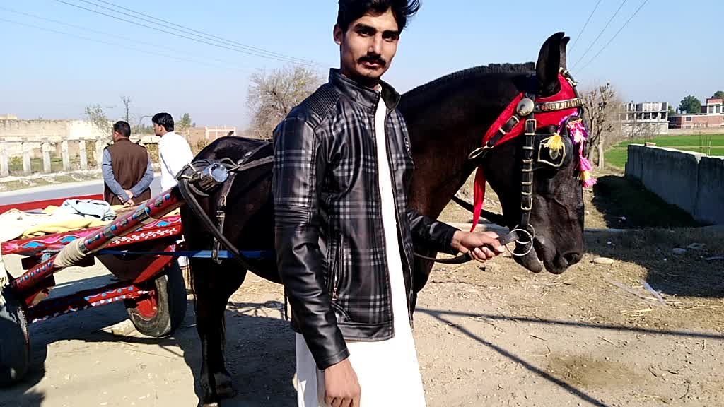 @Tehseen