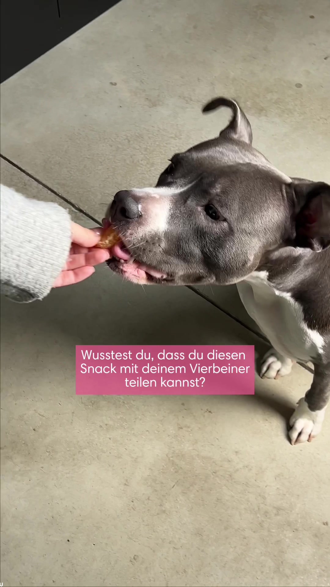 @diefutterbar
