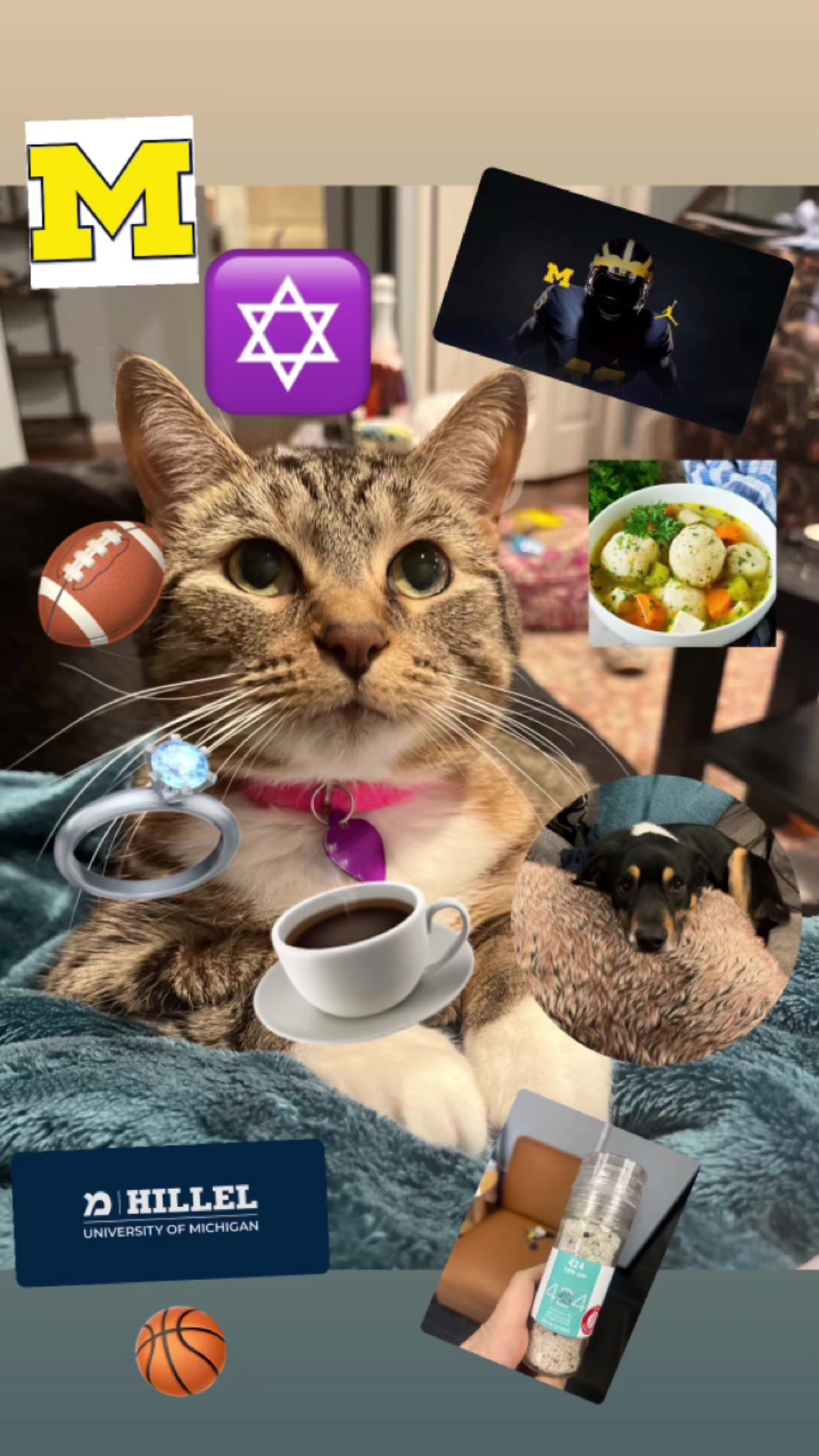 @michigan hillel