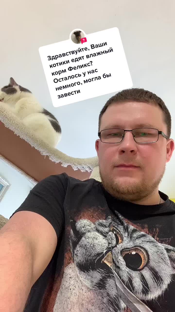 @Антошкин Кот