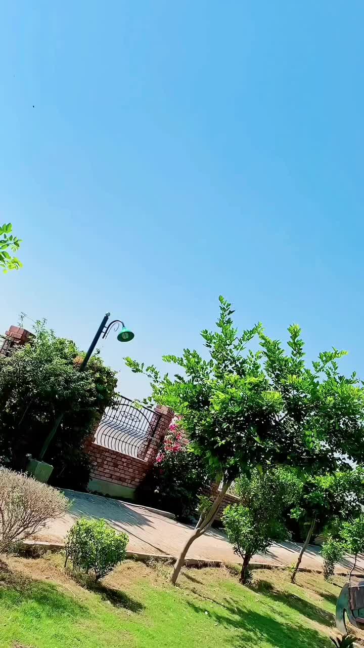 @شیراز بزدار 🚩