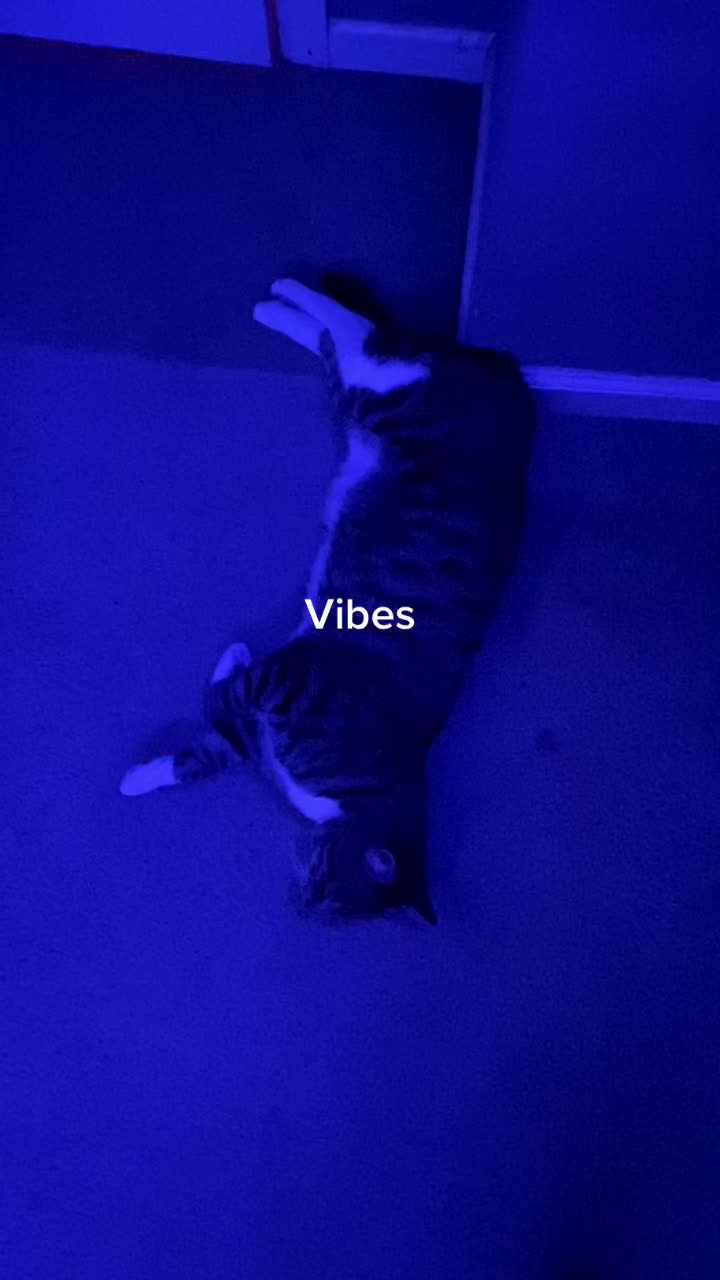 @Moosey