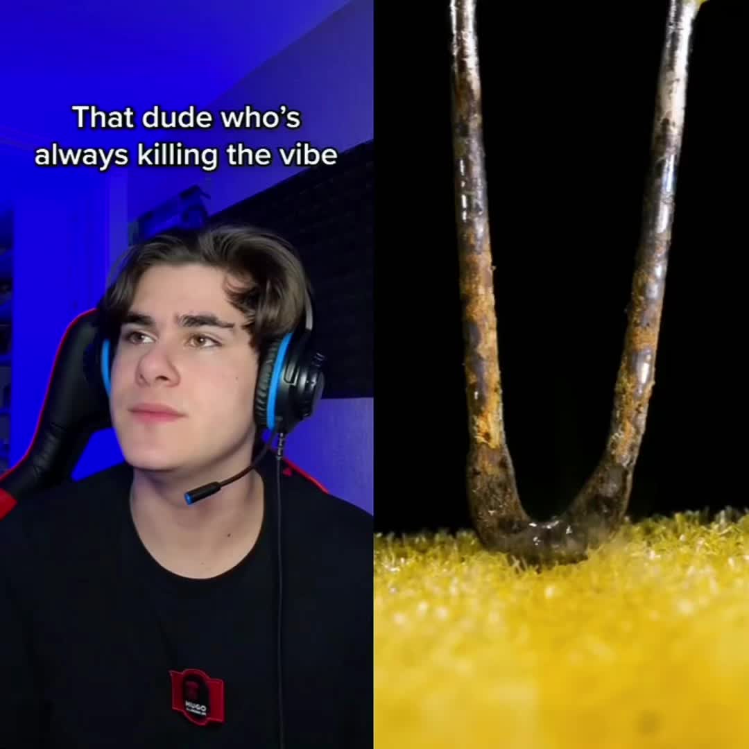 @lili