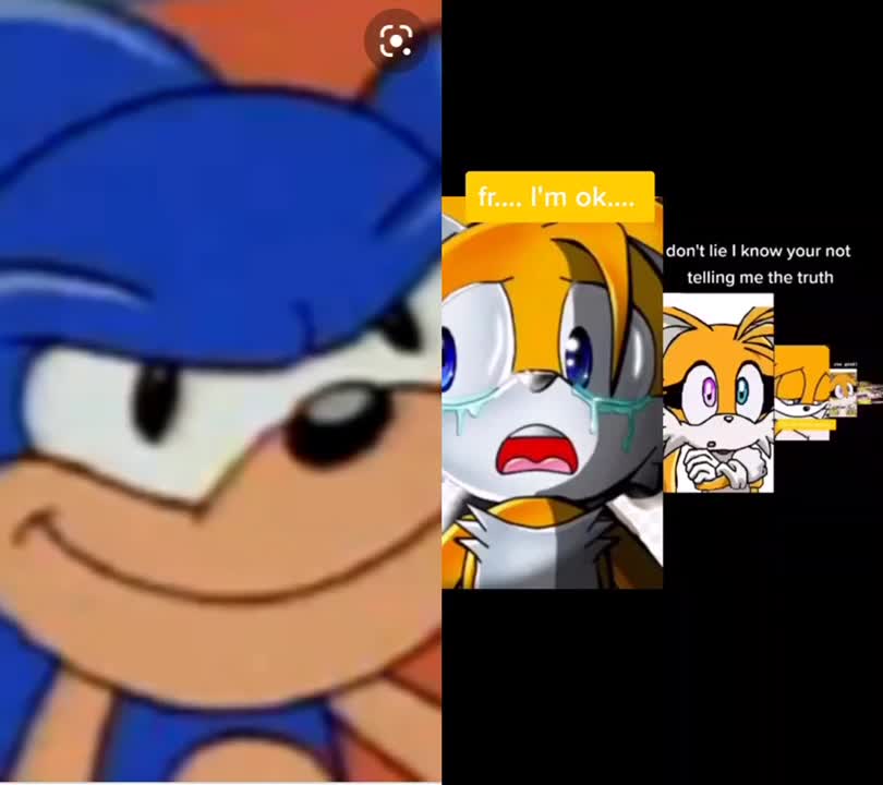 @Sonic the hedgehog