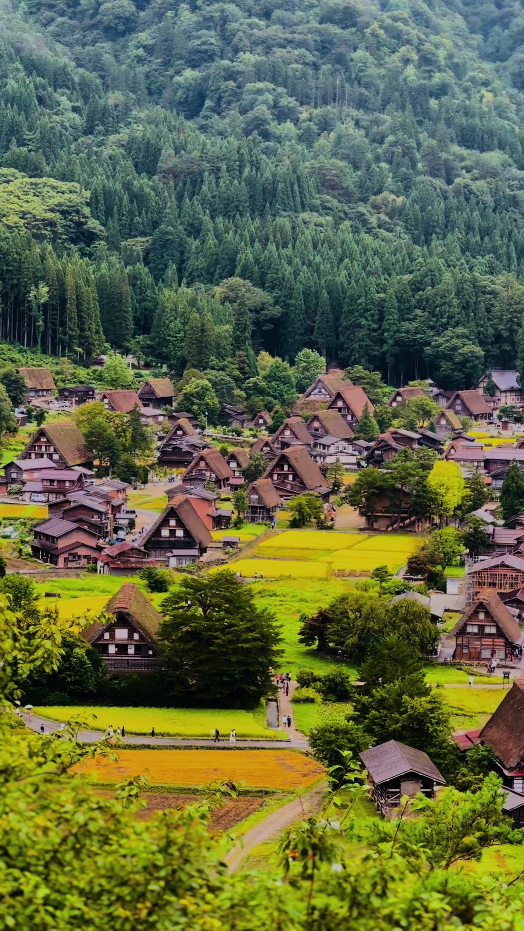 @NihonVoyages