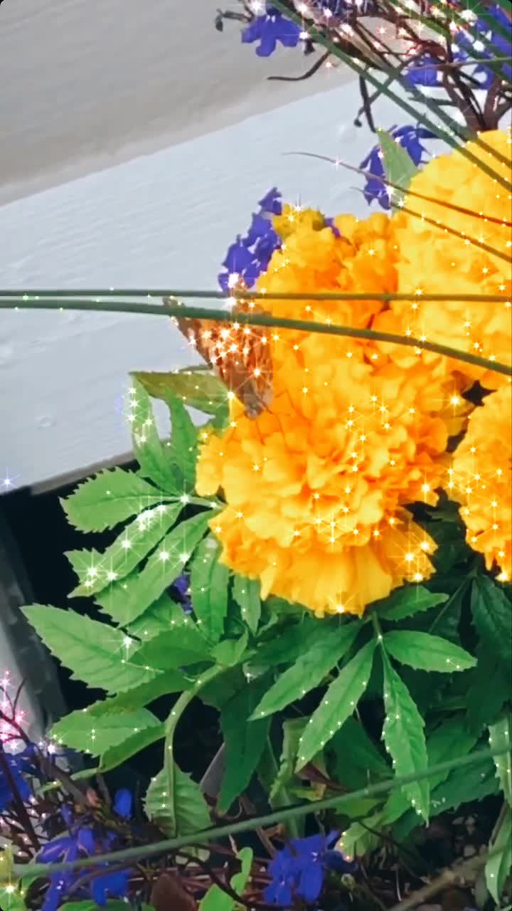 @A𝑒𝑠𝑡h𝑒𝑡ic𝑠♡
