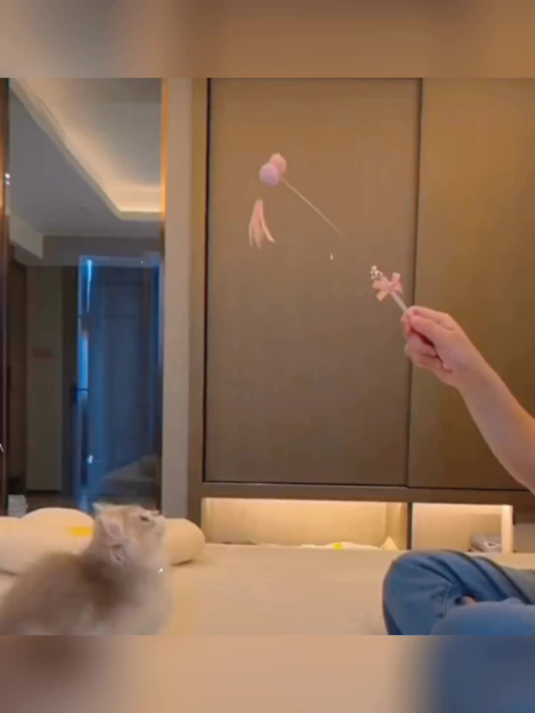 @xiaotwile3t