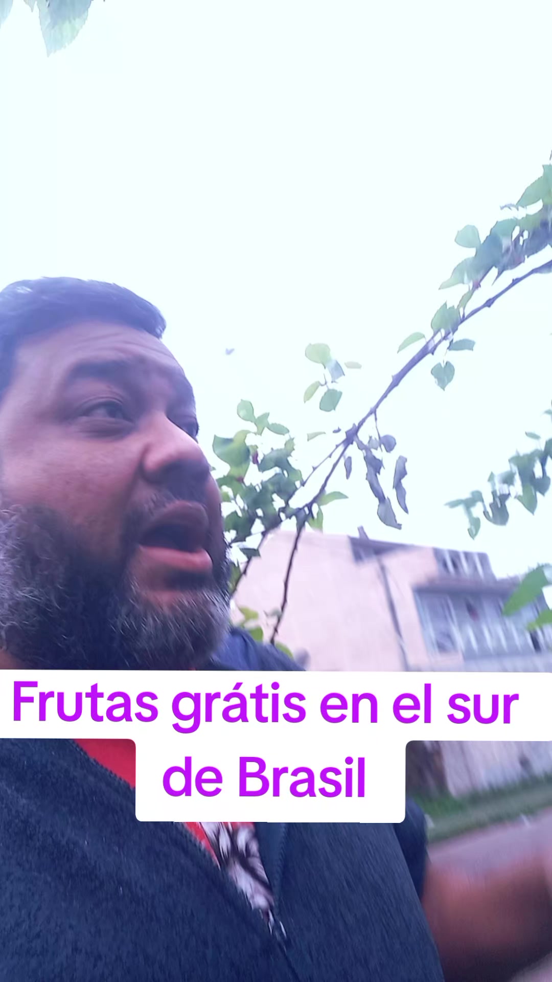 @Los Garcia